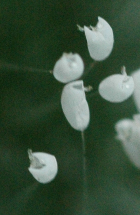 ytplh-24.jpg