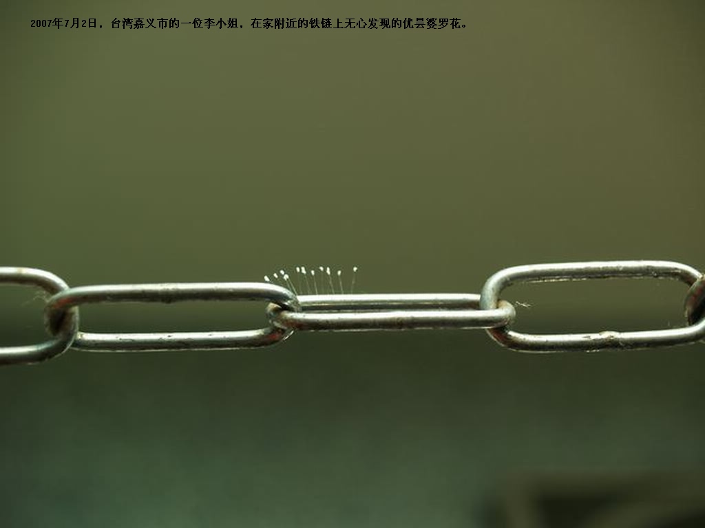 ytplh-2.jpg