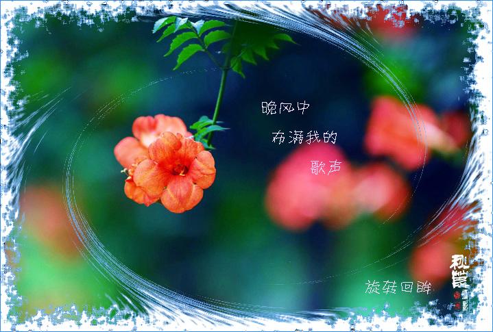 13_117786_dfab33b34c7c5d8.jpg