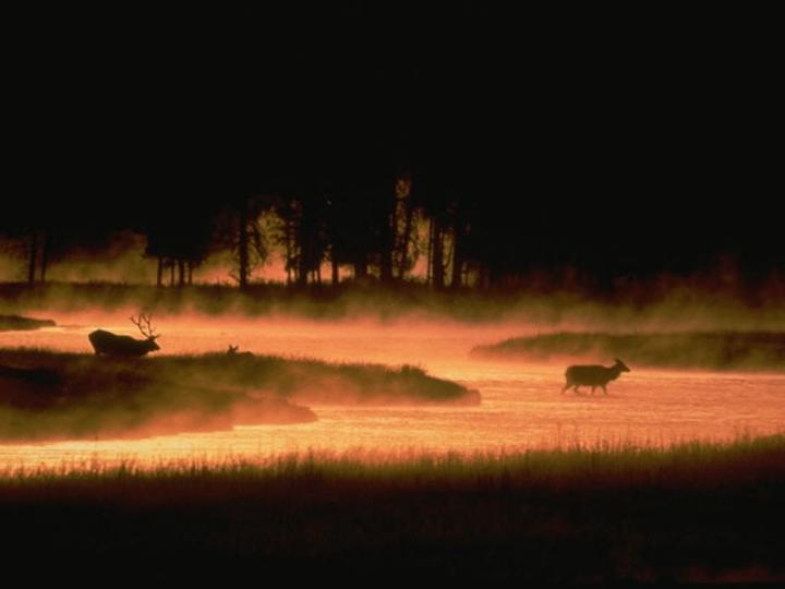 pic26.jpg