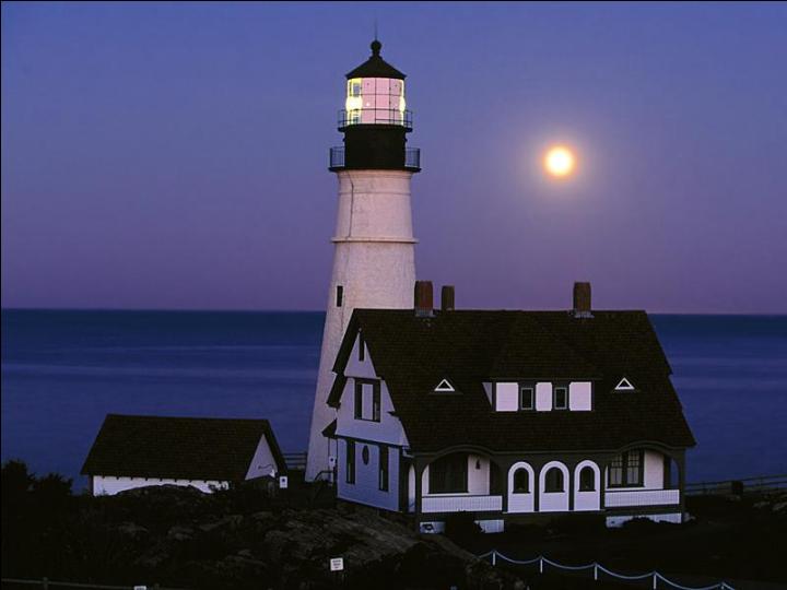 pic19.jpg