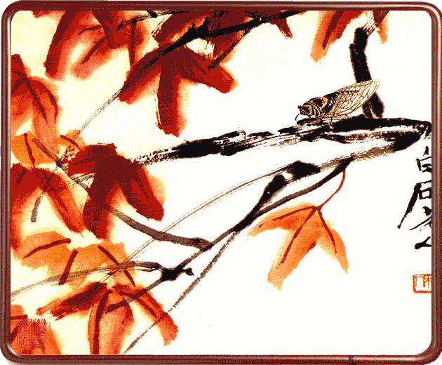 6.gif