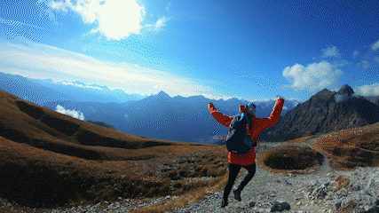 comparison1.gif